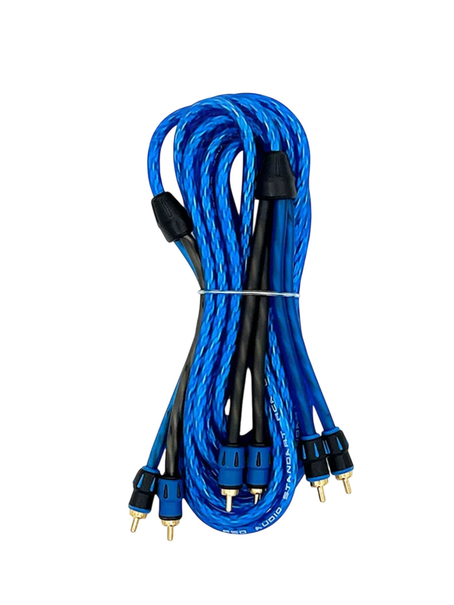 FSD audio SRCA 24