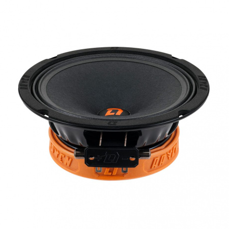 DL Audio Raven 165