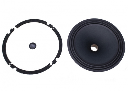 FSD AUDIO STANDART 200C REM